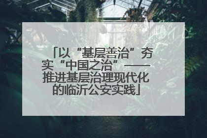 以“基层善治”夯实“中国之治”——推进基层治理现代化的临沂公安实践