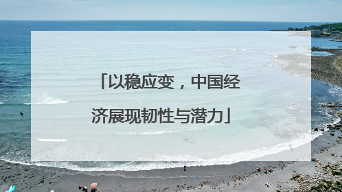 以稳应变，中国经济展现韧性与潜力