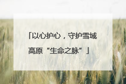 以心护心，守护雪域高原“生命之脉”