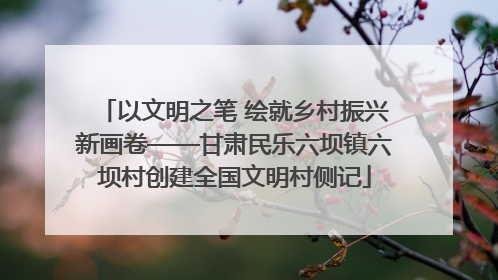 以文明之笔 绘就乡村振兴新画卷——甘肃民乐六坝镇六坝村创建全国文明村侧记