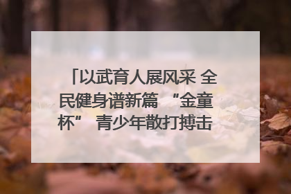 以武育人展风采 全民健身谱新篇 “金童杯” 青少年散打搏击邀请赛圆满落幕