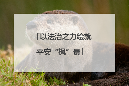 以法治之力绘就平安“枫”景