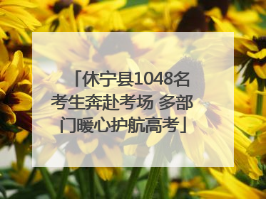 休宁县1048名考生奔赴考场 多部门暖心护航高考