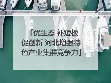 优生态 补短板 促创新 河北增强特色产业集群竞争力