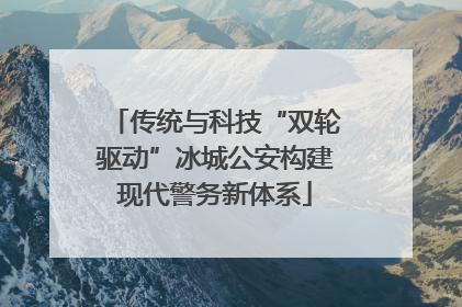 传统与科技“双轮驱动”冰城公安构建现代警务新体系