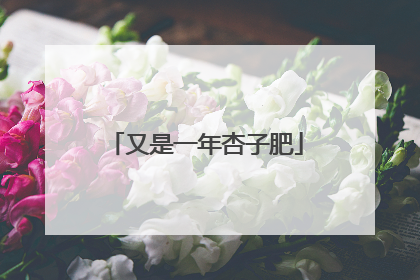 又是一年杏子肥