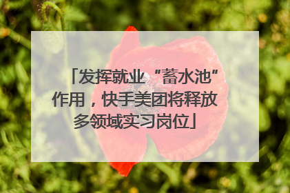发挥就业“蓄水池”作用，快手美团将释放多领域实习岗位