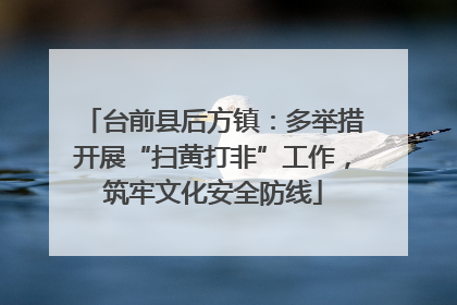 台前县后方镇：多举措开展“扫黄打非”工作，筑牢文化安全防线