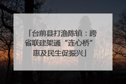 台前县打渔陈镇：跨省联建架通“连心桥” 惠及民生促振兴