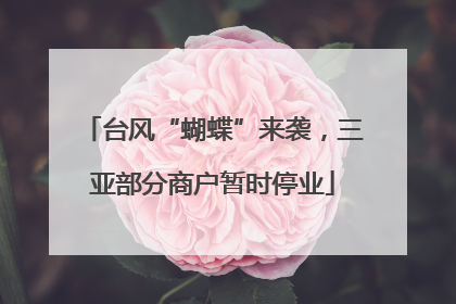 台风“蝴蝶”来袭，三亚部分商户暂时停业