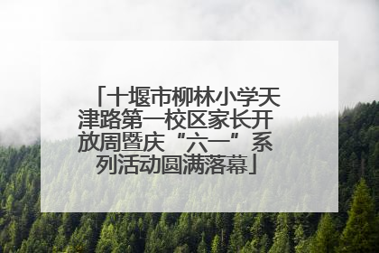 十堰市柳林小学天津路第一校区家长开放周暨庆“六一”系列活动圆满落幕
