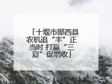 十堰市郧西县农机追“丰”正当时 打赢“三夏”促增收