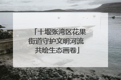 十堰张湾区花果街道守护文明河流 共绘生态画卷