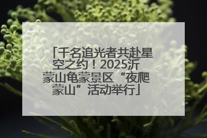 千名追光者共赴星空之约！2025沂蒙山龟蒙景区“夜爬蒙山”活动举行