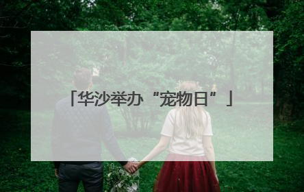 华沙举办“宠物日”