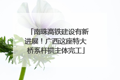 南珠高铁建设有新进展！广西这座特大桥系杆拱主体完工