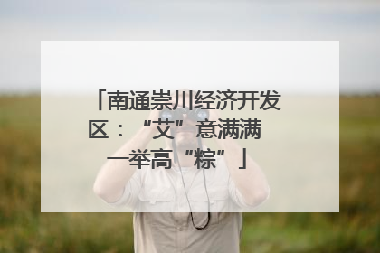 南通崇川经济开发区：“艾”意满满 一举高“粽”