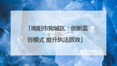 南阳市宛城区：创新监督模式 提升执法质效