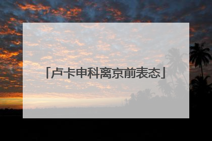 卢卡申科离京前表态