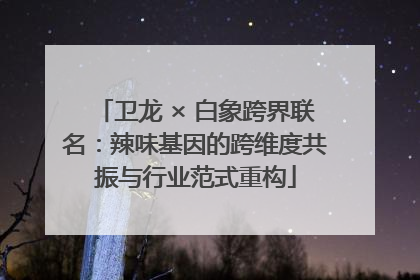 卫龙 × 白象跨界联名：辣味基因的跨维度共振与行业范式重构