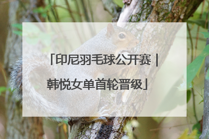 印尼羽毛球公开赛｜韩悦女单首轮晋级