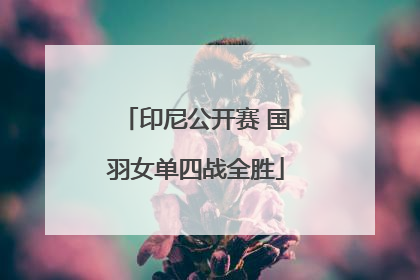印尼公开赛 国羽女单四战全胜
