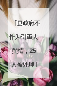 县政府不作为引重大舆情，25人被处理