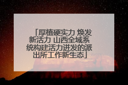 厚植硬实力 焕发新活力 山西全域系统构建活力迸发的派出所工作新生态