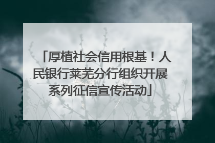 厚植社会信用根基！人民银行莱芜分行组织开展系列征信宣传活动