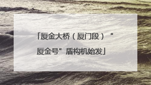 厦金大桥（厦门段）“厦金号”盾构机始发