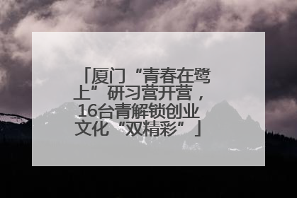 厦门“青春在鹭上”研习营开营，16台青解锁创业文化“双精彩”