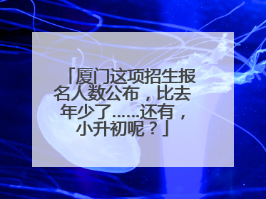 厦门这项招生报名人数公布，比去年少了……还有，小升初呢？