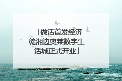 做活首发经济 赣湘边奥莱数字生活城正式开业