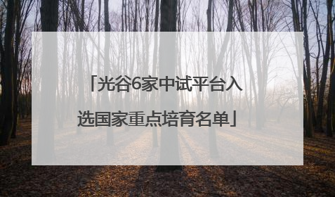 光谷6家中试平台入选国家重点培育名单