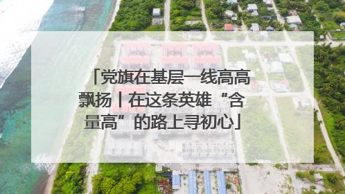 党旗在基层一线高高飘扬丨在这条英雄“含量高”的路上寻初心