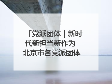 党派团体｜新时代新担当新作为 北京市各党派团体这么干！