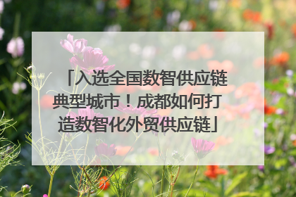入选全国数智供应链典型城市！成都如何打造数智化外贸供应链