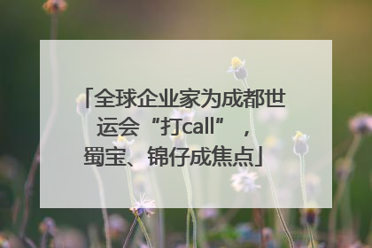 全球企业家为成都世运会“打call”，蜀宝、锦仔成焦点