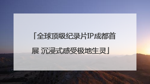 全球顶级纪录片IP成都首展 沉浸式感受极地生灵