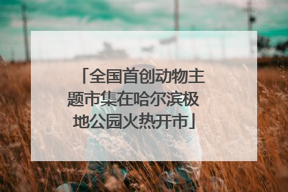 全国首创动物主题市集在哈尔滨极地公园火热开市