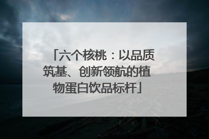 六个核桃：以品质筑基、创新领航的植物蛋白饮品标杆