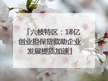 六枝特区：18亿创业担保贷款助企业发展提质加速