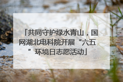 共同守护绿水青山，国网湖北电科院开展“六五”环境日志愿活动