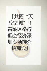 共拓“天空之城”！黄陂区举行低空经济深圳专场推介招商会
