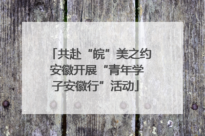 共赴“皖”美之约 安徽开展“青年学子安徽行”活动