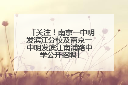 关注！南京一中明发滨江分校及南京一中明发滨江南浦路中学公开招聘