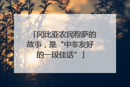 冈比亚农民穆萨的故事，是“中非友好的一段佳话”