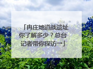 冉庄地道战遗址你了解多少？总台记者带你探访→