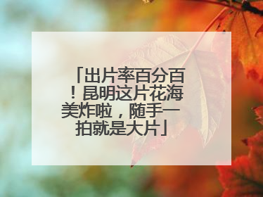 出片率百分百！昆明这片花海美炸啦，随手一拍就是大片