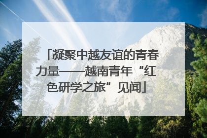 凝聚中越友谊的青春力量——越南青年“红色研学之旅”见闻